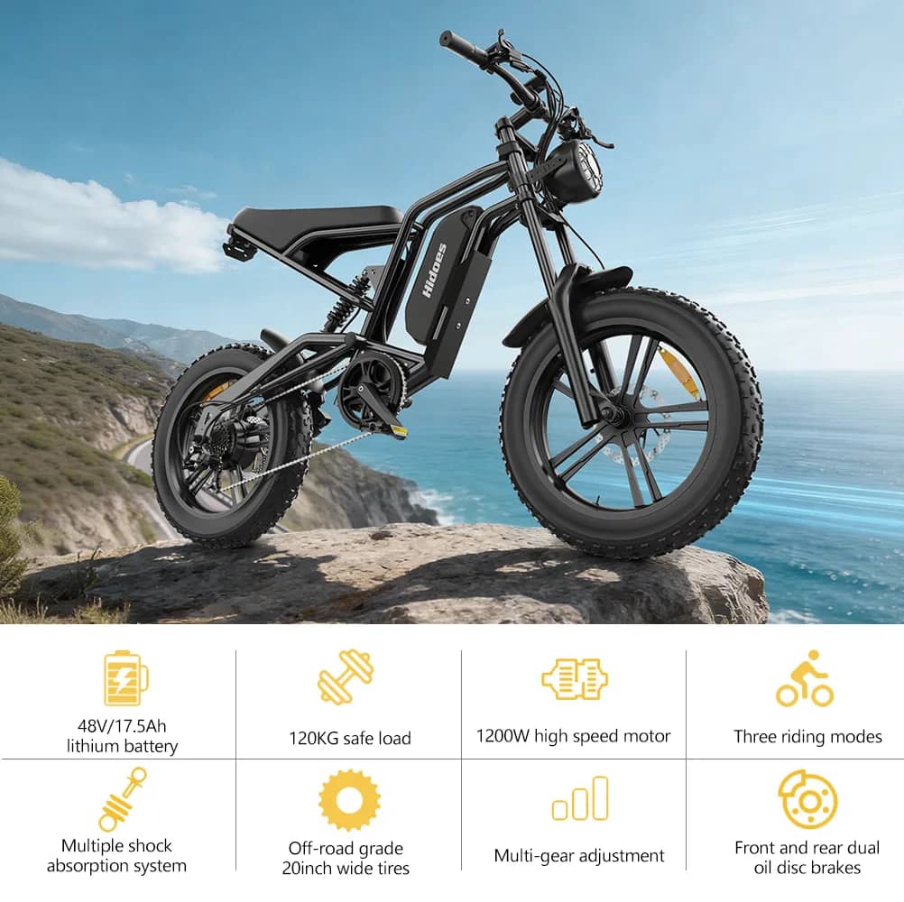 Hidoes B6 Fat-Tyre Electric Bike - 1200W selected product detail